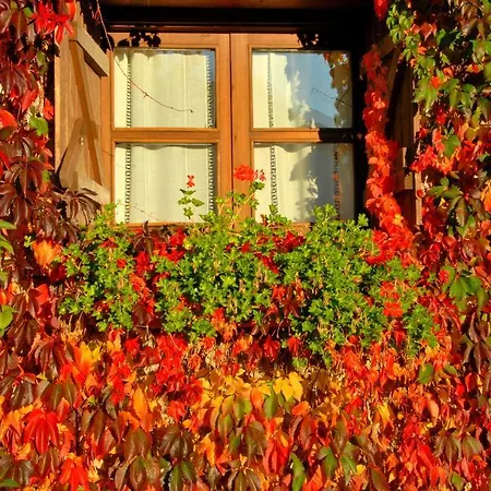 מלון Selba D'ansils 3*