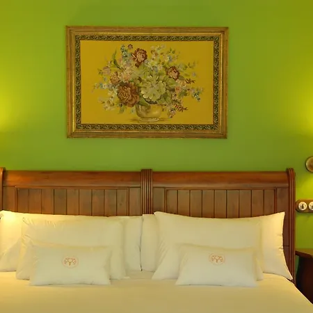 Hotel Selba D'ansils
