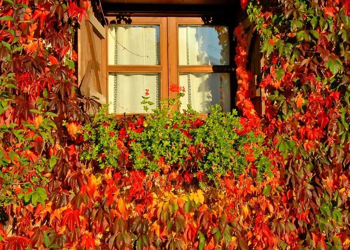 Hotel Selba D'ansils 3*